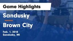 Sandusky  vs Brown City Game Highlights - Feb. 1, 2018