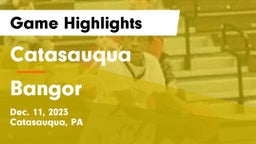 Catasauqua  vs Bangor  Game Highlights - Dec. 11, 2023