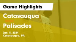 Catasauqua  vs Palisades  Game Highlights - Jan. 5, 2024