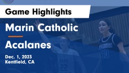 Marin Catholic  vs Acalanes  Game Highlights - Dec. 1, 2023