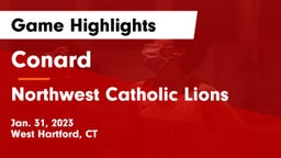 Conard  vs Northwest Catholic Lions Game Highlights - Jan. 31, 2023