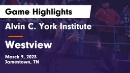 Alvin C. York Institute vs Westview  Game Highlights - March 9, 2023