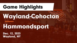 Wayland-Cohocton  vs Hammondsport Game Highlights - Dec. 12, 2023