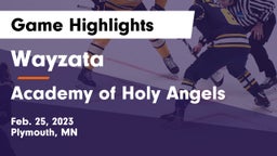 Wayzata  vs Academy of Holy Angels  Game Highlights - Feb. 25, 2023