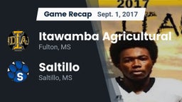Recap: Itawamba Agricultural  vs. Saltillo  2017