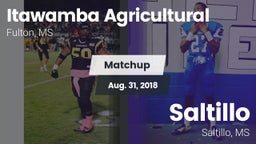 Matchup: Itawamba vs. Saltillo  2018