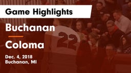 Buchanan  vs Coloma Game Highlights - Dec. 4, 2018