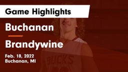 Buchanan  vs Brandywine  Game Highlights - Feb. 18, 2022
