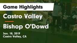 Castro Valley  vs Bishop O'Dowd  Game Highlights - Jan. 18, 2019