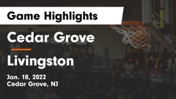 Cedar Grove  vs Livingston Game Highlights - Jan. 18, 2022