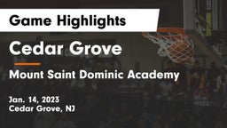 Cedar Grove  vs Mount Saint Dominic Academy Game Highlights - Jan. 14, 2023