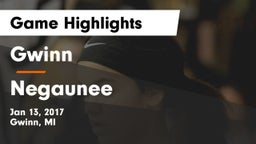 Gwinn  vs Negaunee  Game Highlights - Jan 13, 2017