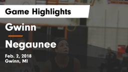 Gwinn  vs Negaunee  Game Highlights - Feb. 2, 2018