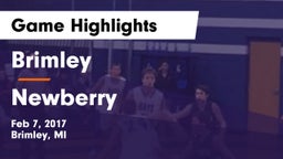 Brimley  vs Newberry  Game Highlights - Feb 7, 2017