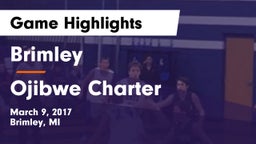 Brimley  vs Ojibwe Charter Game Highlights - March 9, 2017