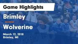 Brimley  vs Wolverine Game Highlights - March 12, 2018