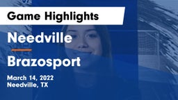 Needville  vs Brazosport  Game Highlights - March 14, 2022