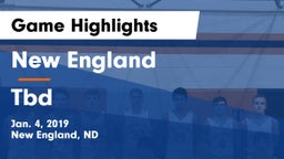 New England  vs Tbd Game Highlights - Jan. 4, 2019