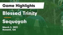 Blessed Trinity  vs Sequoyah  Game Highlights - March 3, 2022