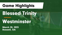 Blessed Trinity  vs Westminster  Game Highlights - March 28, 2023