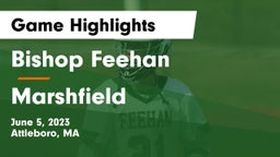 Bishop Feehan  vs Marshfield  Game Highlights - June 5, 2023
