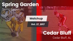 Matchup: Spring Garden High S vs. Cedar Bluff  2017