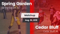 Matchup: Spring Garden High S vs. Cedar Bluff  2018