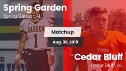 Matchup: Spring Garden High S vs. Cedar Bluff  2019