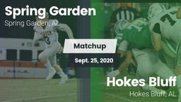 Matchup: Spring Garden High S vs. Hokes Bluff  2020