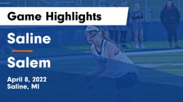 Saline  vs Salem  Game Highlights - April 8, 2022