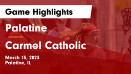 Palatine  vs Carmel Catholic  Game Highlights - March 15, 2023