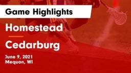 Homestead  vs Cedarburg  Game Highlights - June 9, 2021