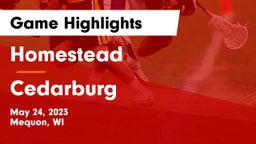 Homestead  vs Cedarburg  Game Highlights - May 24, 2023
