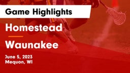 Homestead  vs Waunakee  Game Highlights - June 5, 2023