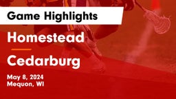 Homestead  vs Cedarburg  Game Highlights - May 8, 2024
