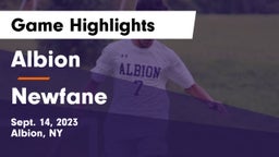 Albion  vs Newfane  Game Highlights - Sept. 14, 2023