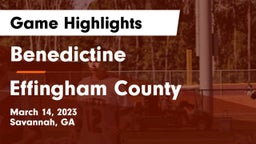 Benedictine  vs Effingham County  Game Highlights - March 14, 2023