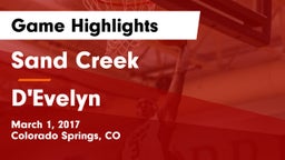Sand Creek  vs D'Evelyn  Game Highlights - March 1, 2017