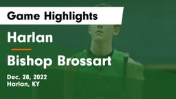 Harlan  vs Bishop Brossart Game Highlights - Dec. 28, 2022