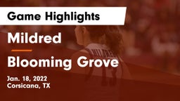 Mildred  vs Blooming Grove  Game Highlights - Jan. 18, 2022