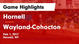 Hornell  vs Wayland-Cohocton  Game Highlights - Feb 1, 2017