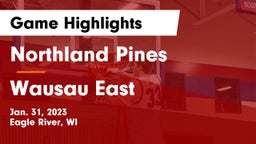 Northland Pines  vs Wausau East  Game Highlights - Jan. 31, 2023