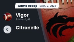 Recap: Vigor  vs. CItronelle  2022