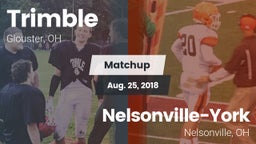 Matchup: Trimble  vs. Nelsonville-York  2018