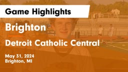 Brighton  vs Detroit Catholic Central  Game Highlights - May 31, 2024