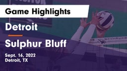 Detroit  vs Sulphur Bluff Game Highlights - Sept. 16, 2022