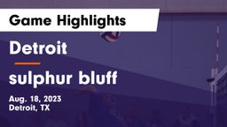Detroit  vs sulphur bluff Game Highlights - Aug. 18, 2023