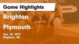 Brighton  vs Plymouth  Game Highlights - Jan. 29, 2019