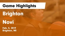 Brighton  vs Novi  Game Highlights - Feb. 5, 2019