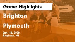 Brighton  vs Plymouth  Game Highlights - Jan. 14, 2020